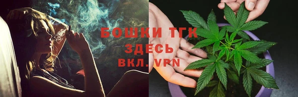 индика Пересвет