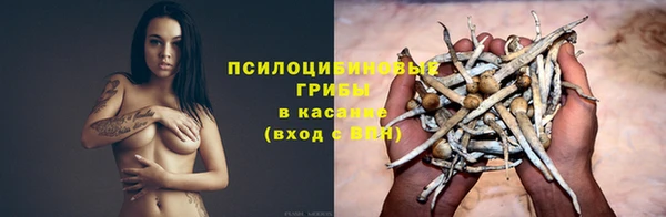 2c-b Валдай