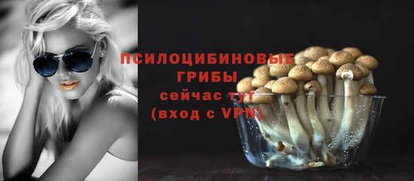2c-b Валдай