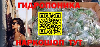 apvp Бийск