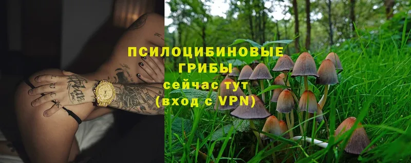 Псилоцибиновые грибы MAGIC MUSHROOMS  Бугуруслан 