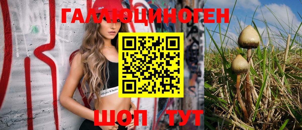 Псилоцибиновые грибы Cubensis  Псилоцибиновые грибы Cubensis  Бугуруслан  Вход с VPN 